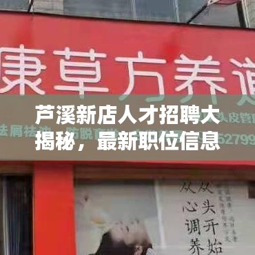蘆溪新店人才招聘大揭秘，最新職位信息一網打盡！