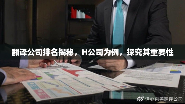 翻譯公司排名揭秘，H公司為例，探究其重要性