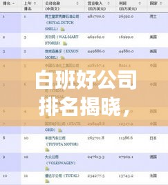 白班好公司排名揭曉，職場新標桿大揭秘！
