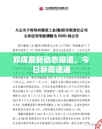 鄭煤最新動態報道，今日新聞速遞