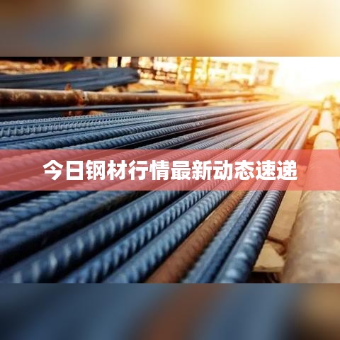 今日鋼材行情最新動(dòng)態(tài)速遞