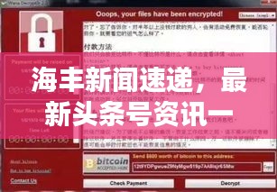 海豐新聞速遞，最新頭條號資訊一網打盡