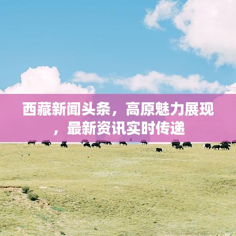 西藏新聞頭條，高原魅力展現，最新資訊實時傳遞