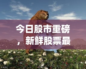 今日股市重磅，新鮮股票最新動態(tài)一網(wǎng)打盡
