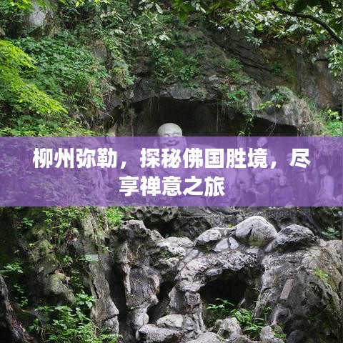 柳州彌勒，探秘佛國勝境，盡享禪意之旅