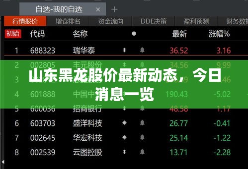 山東黑龍股價最新動態，今日消息一覽