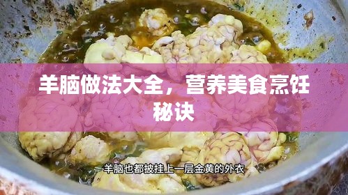 羊腦做法大全，營養(yǎng)美食烹飪秘訣