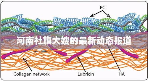 河南社旗大嫂的最新動態(tài)報(bào)道