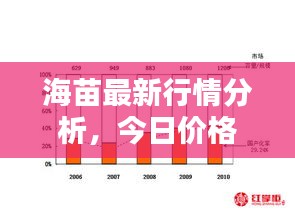 海苗最新行情分析，今日價格走勢揭秘