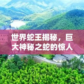 鶴立雞群 第2頁