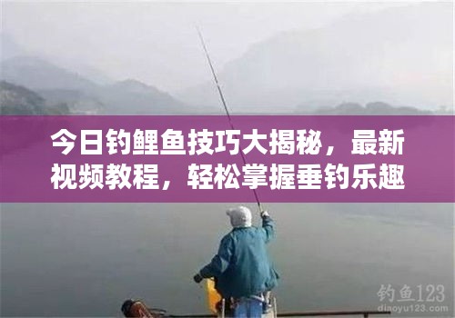 今日釣鯉魚技巧大揭秘，最新視頻教程，輕松掌握垂釣樂趣！
