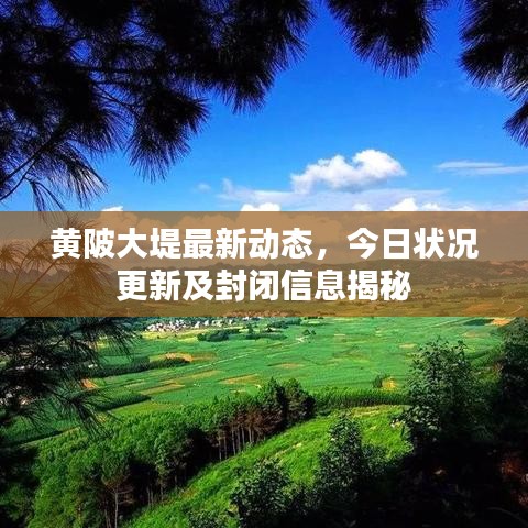 黃陂大堤最新動(dòng)態(tài)，今日狀況更新及封閉信息揭秘
