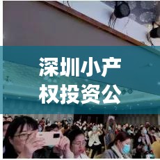 深圳小產權投資公司排名揭秘，市場影響力榜單重磅出爐！