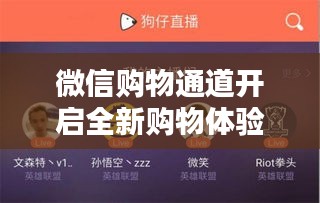 微信購(gòu)物通道開啟全新購(gòu)物體驗(yàn)時(shí)代，新聞獨(dú)家頭條