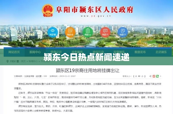 潁東今日熱點新聞速遞