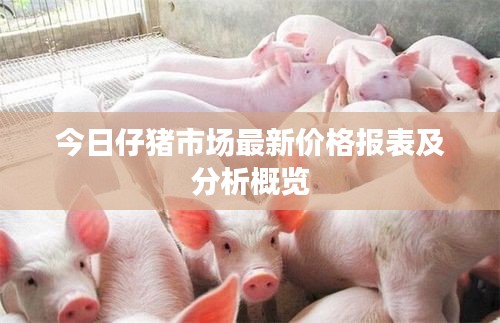 今日仔豬市場最新價格報表及分析概覽