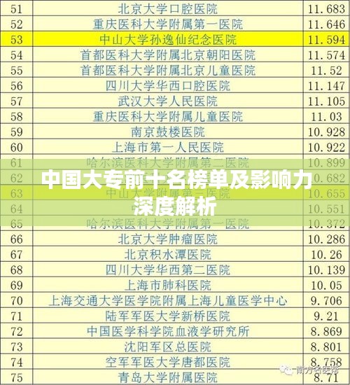 中國大專前十名榜單及影響力深度解析