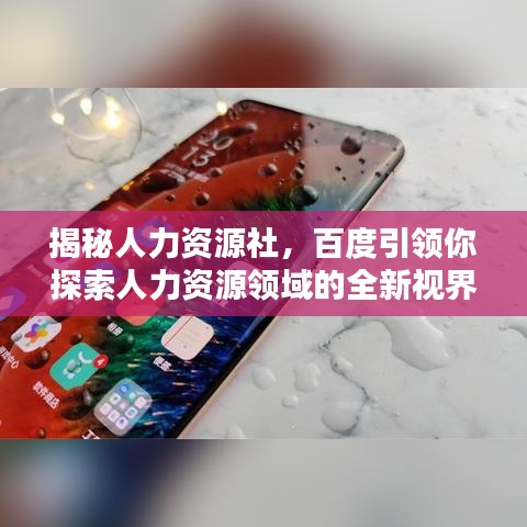 揭秘人力資源社，百度引領你探索人力資源領域的全新視界！