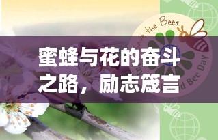 蜜蜂與花的奮斗之路，勵志箴言，值得珍藏的啟示！