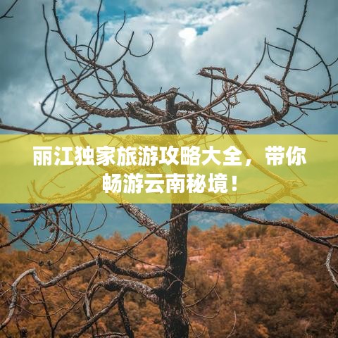 麗江獨家旅游攻略大全，帶你暢游云南秘境！