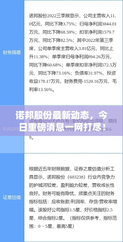 諾邦股份最新動態，今日重磅消息一網打盡！