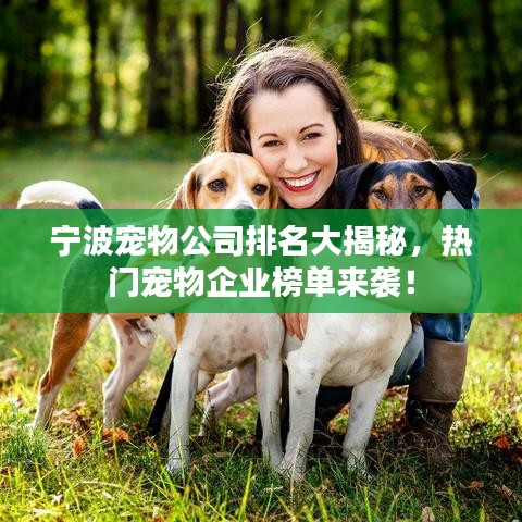 寧波寵物公司排名大揭秘，熱門寵物企業榜單來襲！