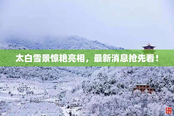 太白雪景驚艷亮相，最新消息搶先看！