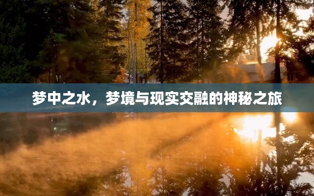 夢中之水，夢境與現實交融的神秘之旅