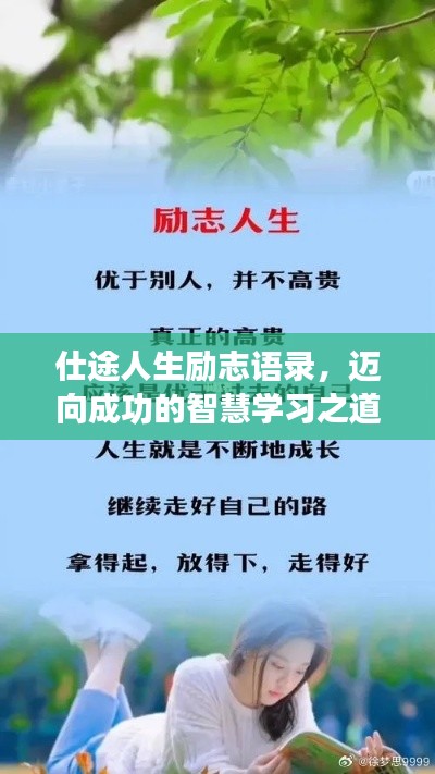 鳳凰于飛 第2頁