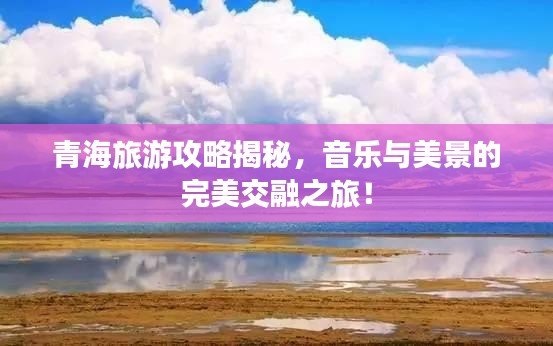 青海旅游攻略揭秘，音樂與美景的完美交融之旅！