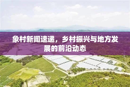 象村新聞速遞，鄉村振興與地方發展的前沿動態