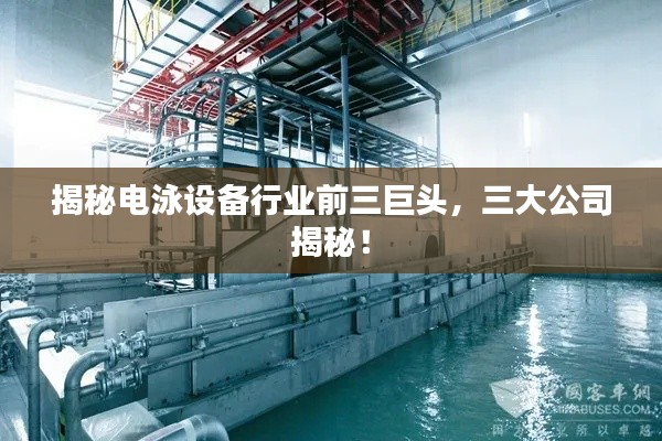 揭秘電泳設備行業前三巨頭，三大公司揭秘！