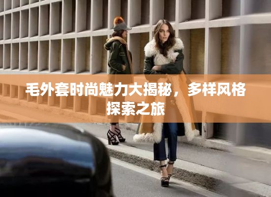 毛外套時(shí)尚魅力大揭秘，多樣風(fēng)格探索之旅