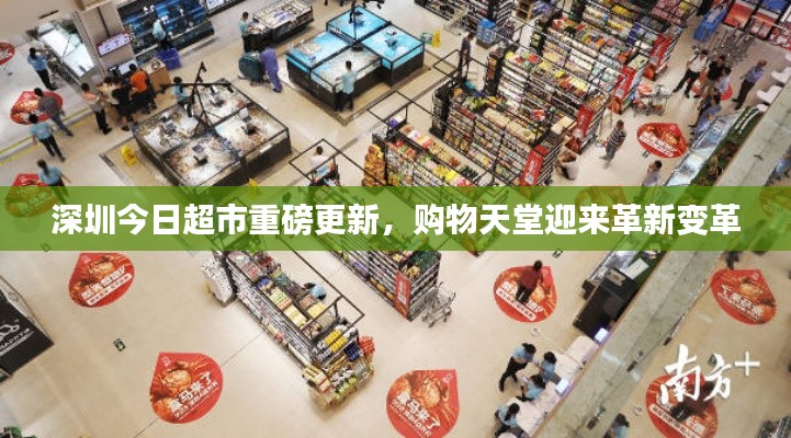 深圳今日超市重磅更新，購物天堂迎來革新變革