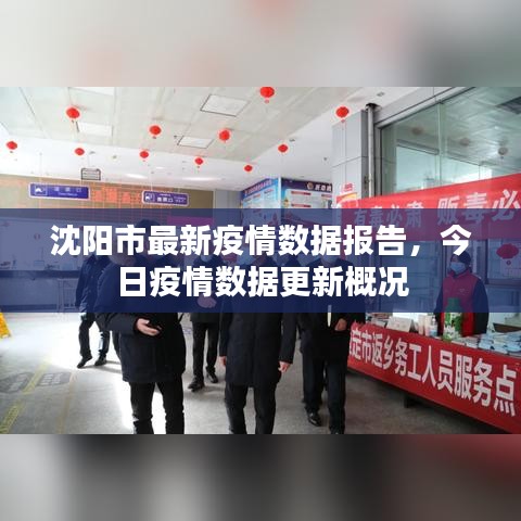 沈陽市最新疫情數據報告，今日疫情數據更新概況