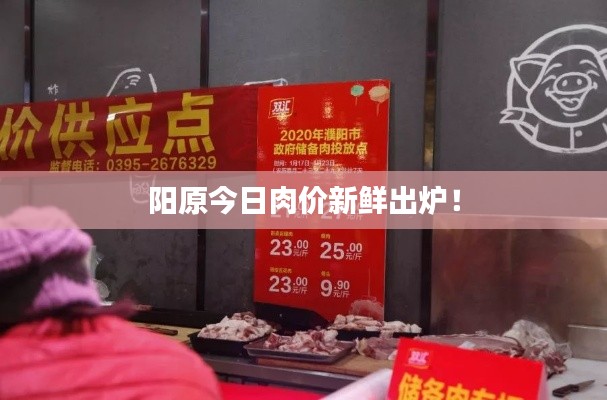 飛揚跋扈 第2頁