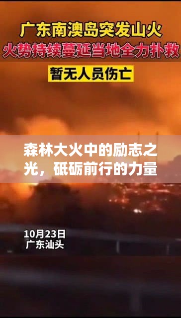 森林大火中的勵志之光，砥礪前行的力量源泉
