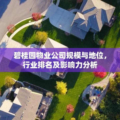 碧桂園物業公司規模與地位，行業排名及影響力分析
