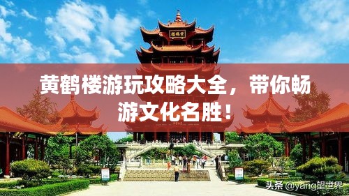 雍容雅步 第2頁