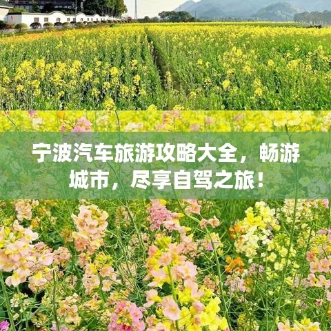 寧波汽車旅游攻略大全，暢游城市，盡享自駕之旅！