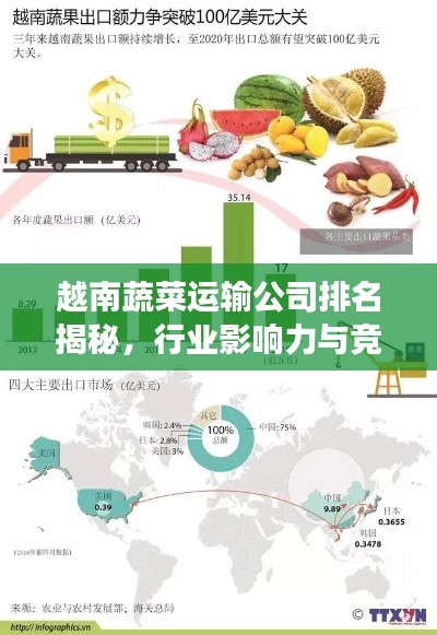 越南蔬菜運(yùn)輸公司排名揭秘，行業(yè)影響力與競爭力分析