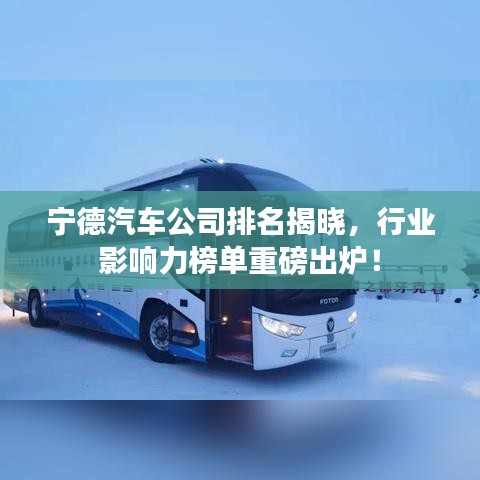 寧德汽車公司排名揭曉，行業(yè)影響力榜單重磅出爐！