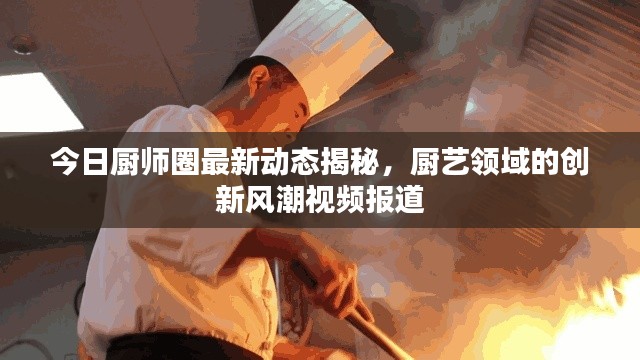 今日廚師圈最新動態揭秘，廚藝領域的創新風潮視頻報道