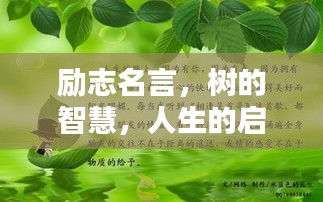 勵志名言，樹的智慧，人生的啟示