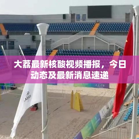 大荔最新核酸視頻播報，今日動態及最新消息速遞