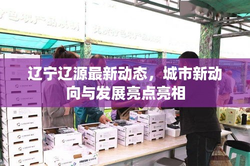 遼寧遼源最新動態，城市新動向與發展亮點亮相