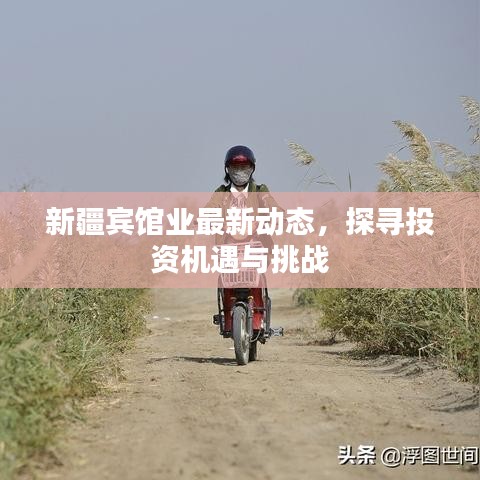 新疆賓館業最新動態，探尋投資機遇與挑戰