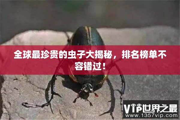 全球最珍貴的蟲子大揭秘，排名榜單不容錯過！