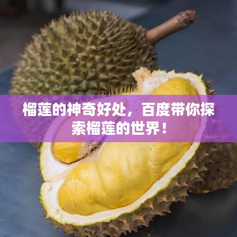 榴蓮的神奇好處，百度帶你探索榴蓮的世界！