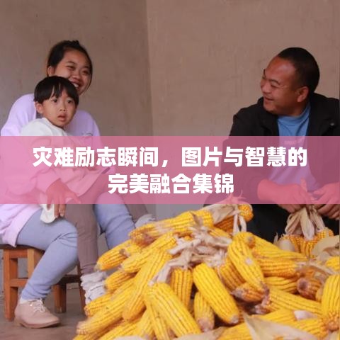 災難勵志瞬間，圖片與智慧的完美融合集錦